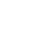 Realtor